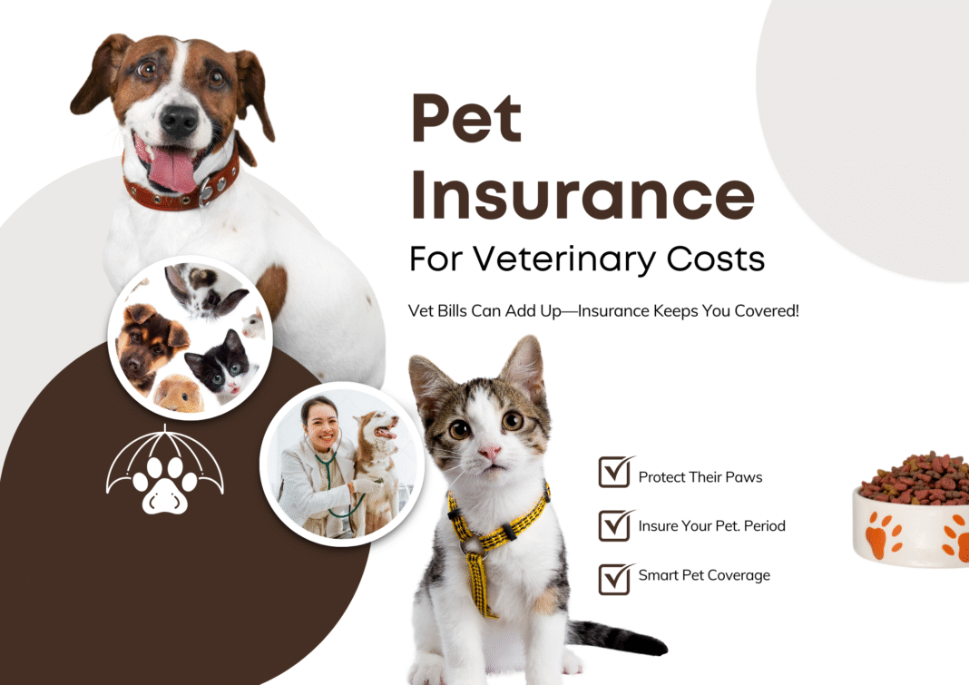 Pet insurance coverage for dogs and cats, helping pet owners afford veterinary care, emergency treatment, and routine checkups.
