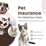 Pet insurance coverage for dogs and cats, helping pet owners afford veterinary care, emergency treatment, and routine checkups.