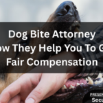 Dog Bite Attorney: How They Help You To Get Fair Compensation