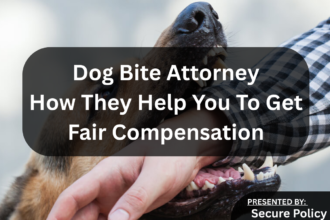Dog Bite Attorney: How They Help You To Get Fair Compensation