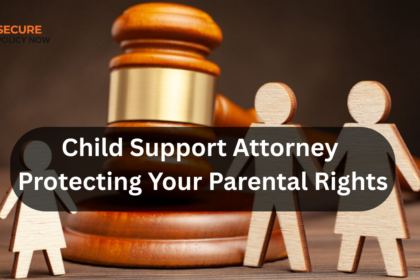 Child Support Attorney: Protecting Your Parental Rights